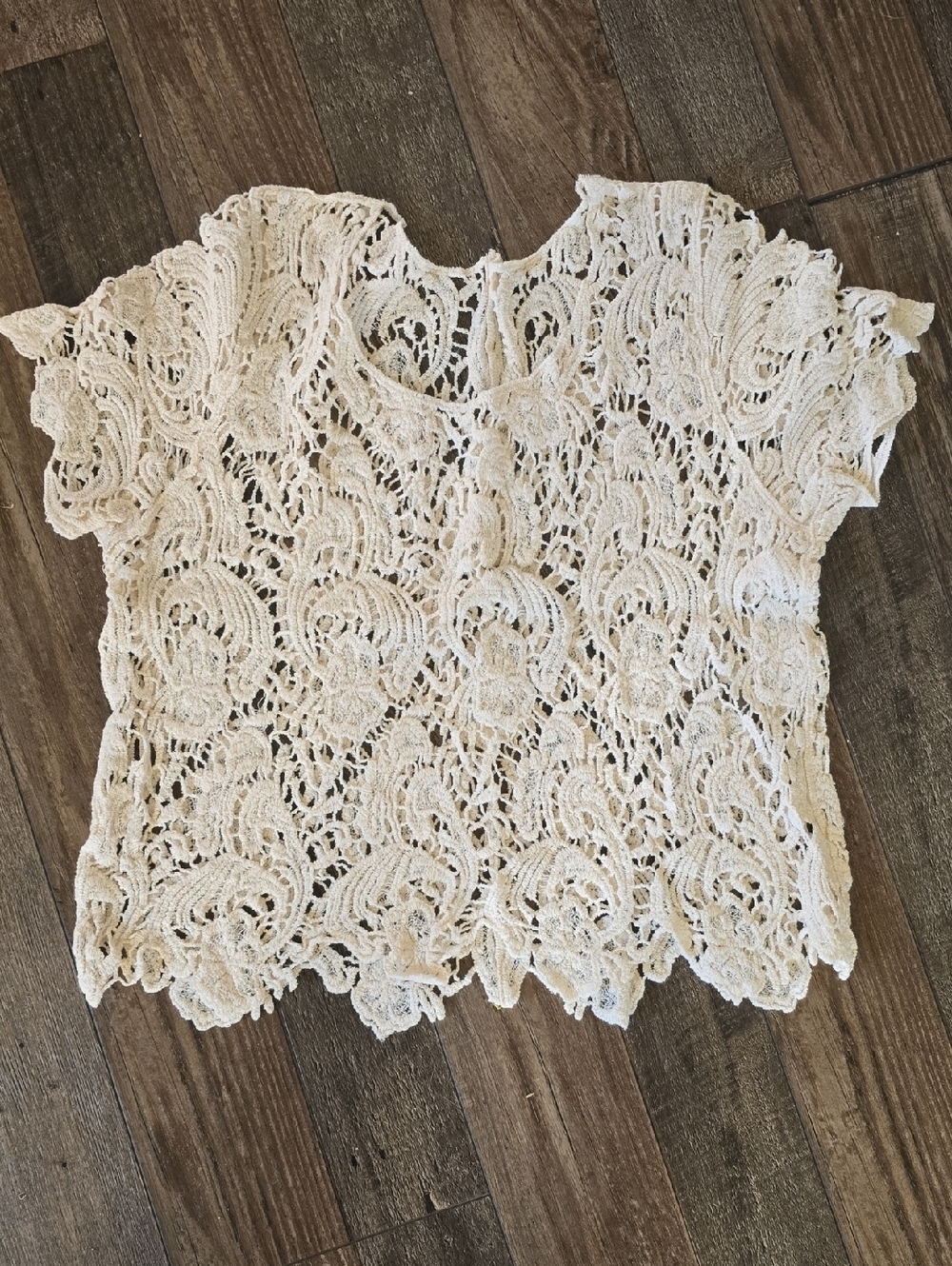 Crochet Lace Short-Sleeve Blouse in Cream